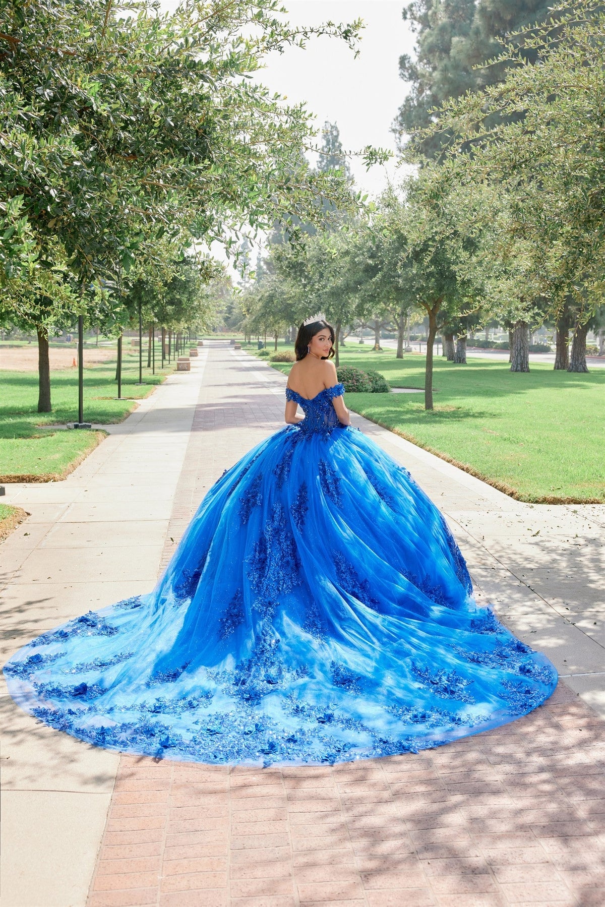 Juliet JT1505J Off Shoulder Applique Embroidered Glitter Tulle Quinceanera Dress