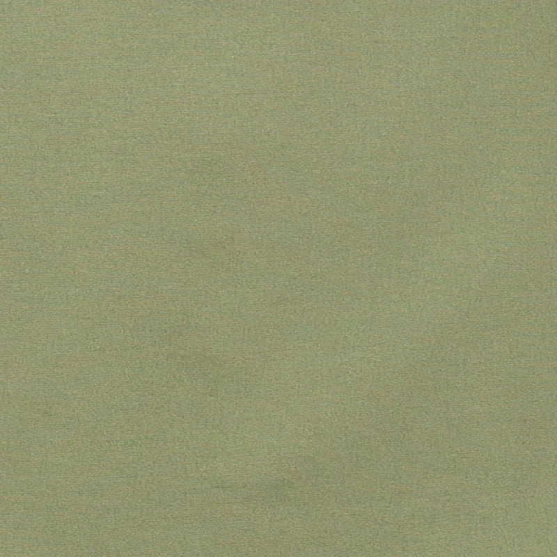 Men's Light Olive Two Piece Suit