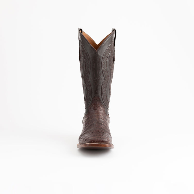 Ferrini Belly Caiman Dakota Luxury Shoe