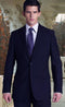 38 Long Suit - Mens Suit 38 long - AlbertoNardoniStore