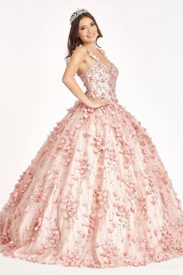 Blush Quinceanera Dress 3D Applique Sleeveless Ball Gown by Elizabeth K GL1959