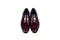 C02000-5760 H buckle Burgundy Lux Calf Skin
