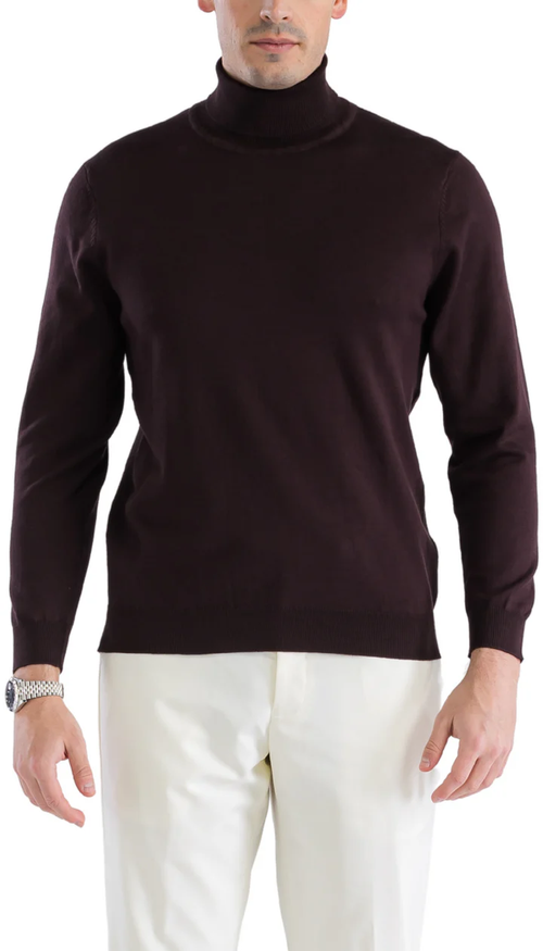 Men's brown turtleneck sweater with a close fit. Features: long sleeves, straight hem, and a soft, smooth, solid brown fabric. Classic and comfortable design.
