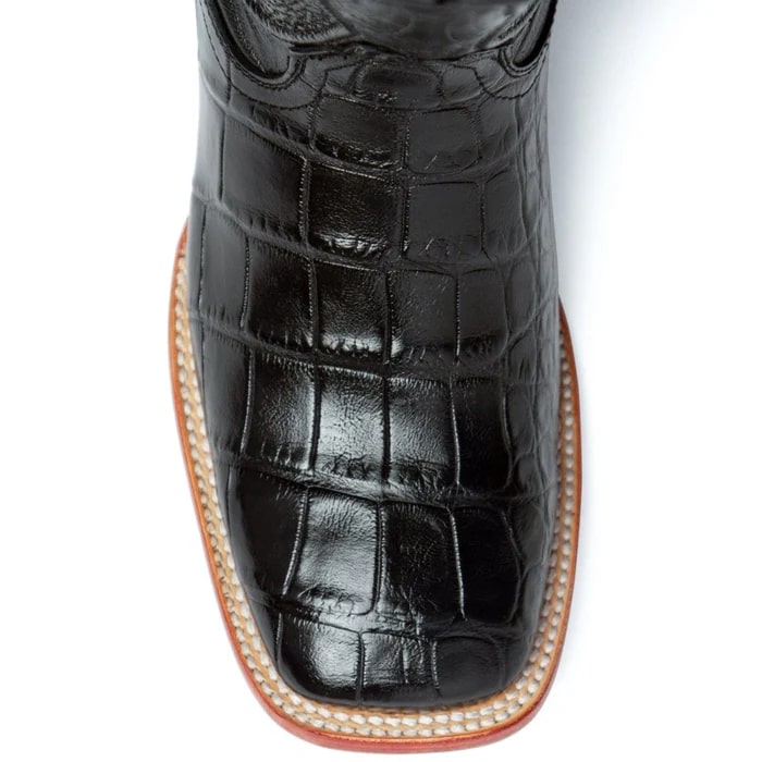 Ferrini Stallion - American Alligator