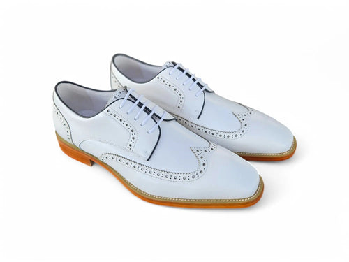 Blucher Style Wingtip Oxford Carrucci