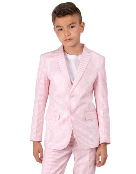 Sears Sucker Suit Pink Seersucker Tuxedo Mens Searsucker Suit - AlbertoNardoniStore