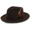 Men's brown wool fedora hat with a structured, wide brim and high crown. Includes a dark brown band with a red and cream feather detail.
