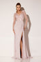 Chiffon Long Sleeve Slit Gown by Lucci Lu C8069