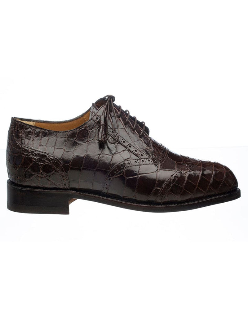 Ferrini Belly Alligator 3673
