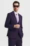 Men's Vested One Button Peak Lapel Stacy Adams Designer Suit in Eggplant