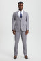 Mens Stacy Adams Suit - Stacy Adams Suit Men's Designer Suit - Light Grey, Vested One Button Peak Lapel