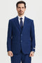 Mens Stacy Adams Suit - Stacy Adams Suit Men's Two Button Vested Designer Suit in Indigo Blue