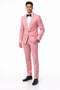 Coral 2 Piece Men’s Slim Fit Suit