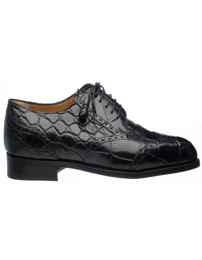 Ferrini Belly Alligator 3673