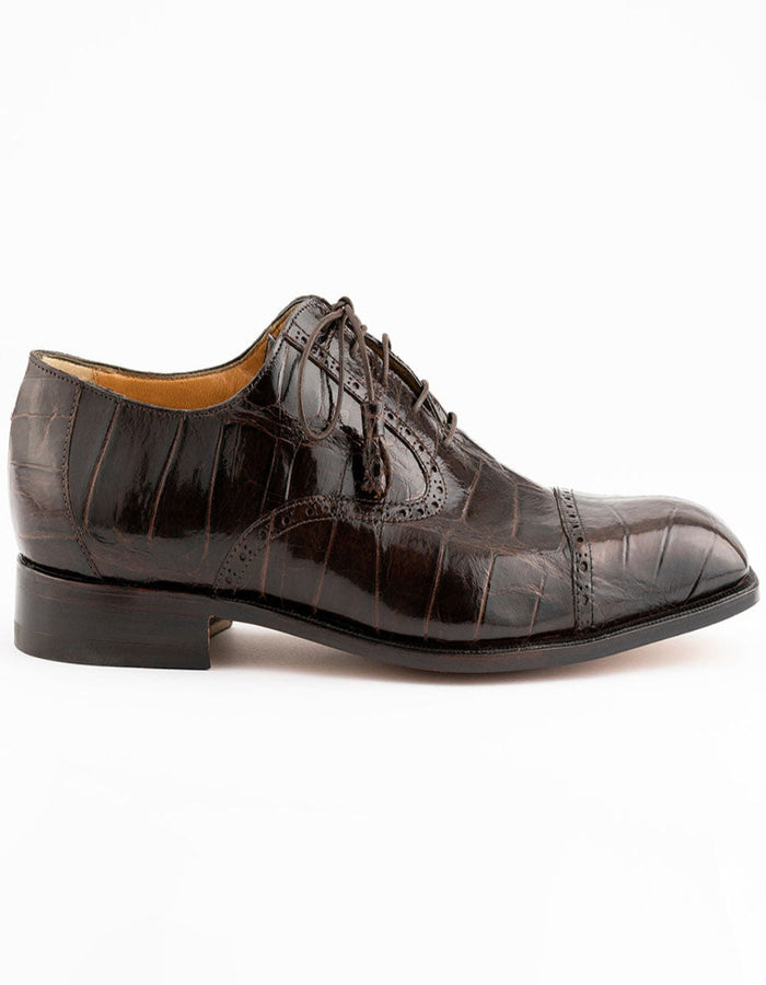 Ferrini Belly Alligator-3922