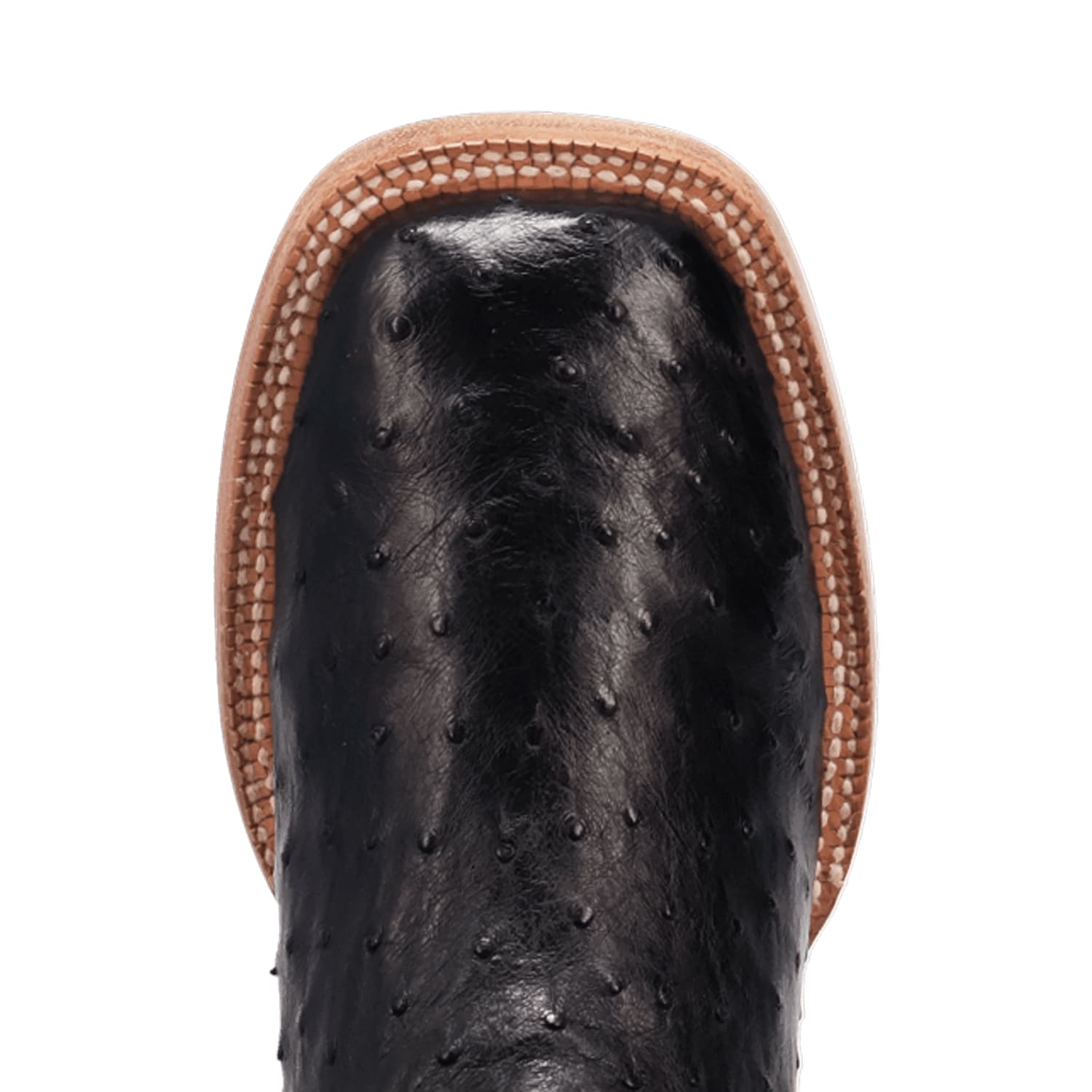 Dan Post Brannan Full Quill Ostrich Boot