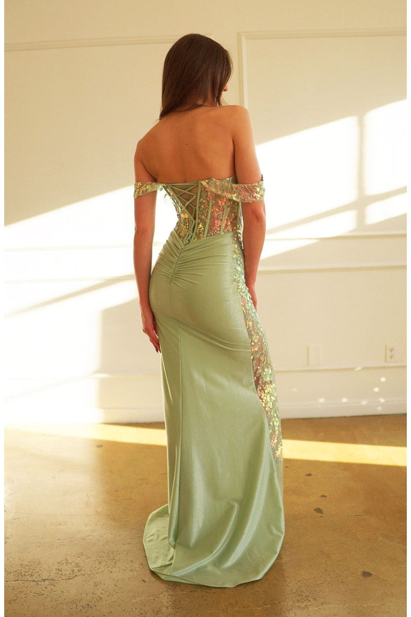 High Couture HC1020 Long Fitted Formal Lace Applique Prom Dress