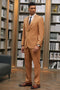 Mens Stacy Adams Suit - Stacy Adams Suit Men's Fancy Two-Button Vested Suit in Dark Rust