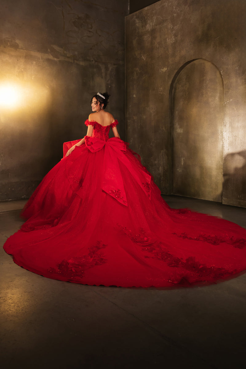 Layla K LK270 Off-Shoulder Floral Applique Ball Gown Quinceañera Dress-New Collection