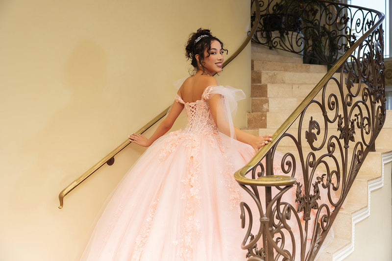 Plus Size Ball Gown in Blush | Formal Quinceanera Dress by LK280