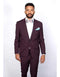 Slim Fit Burgundy Suit - AlbertoNardoniStore