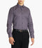 BRANFORD DRESS SHIRT Point Collar