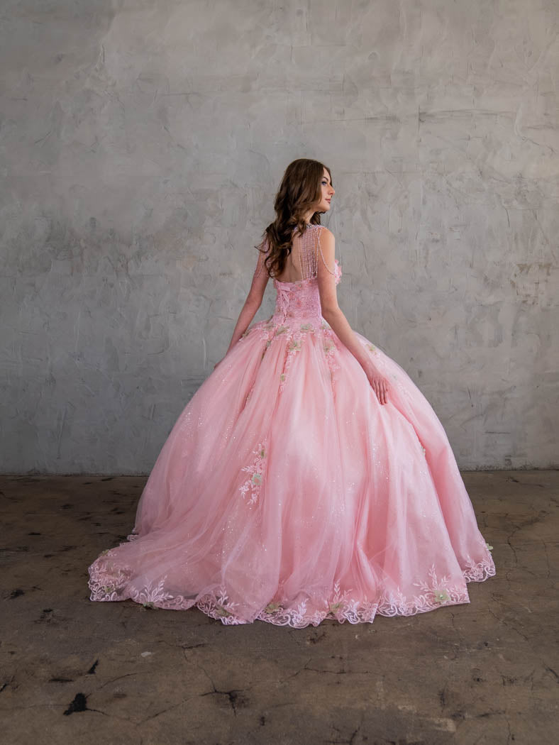Floral Applique Quinceanera Dress Sleeveless Ball Gown by Calla SCL30011