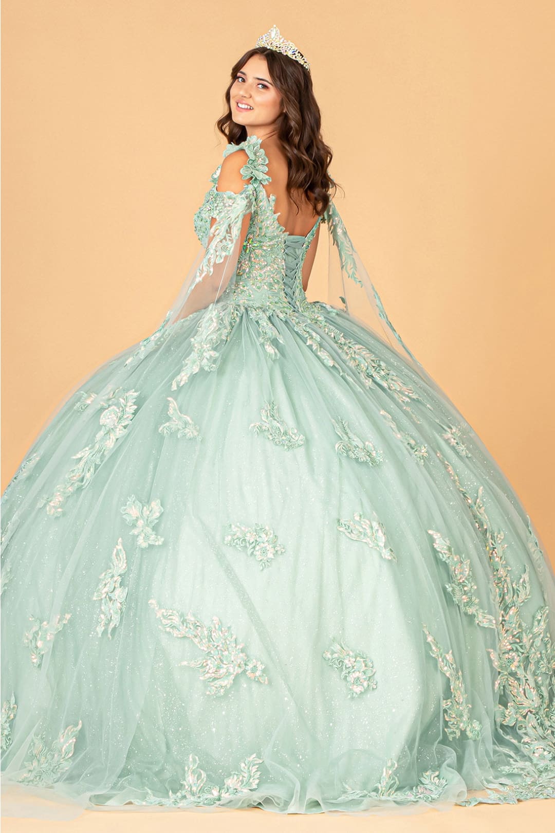 Applique Cape Sleeve Gown by Elizabeth KGL3099