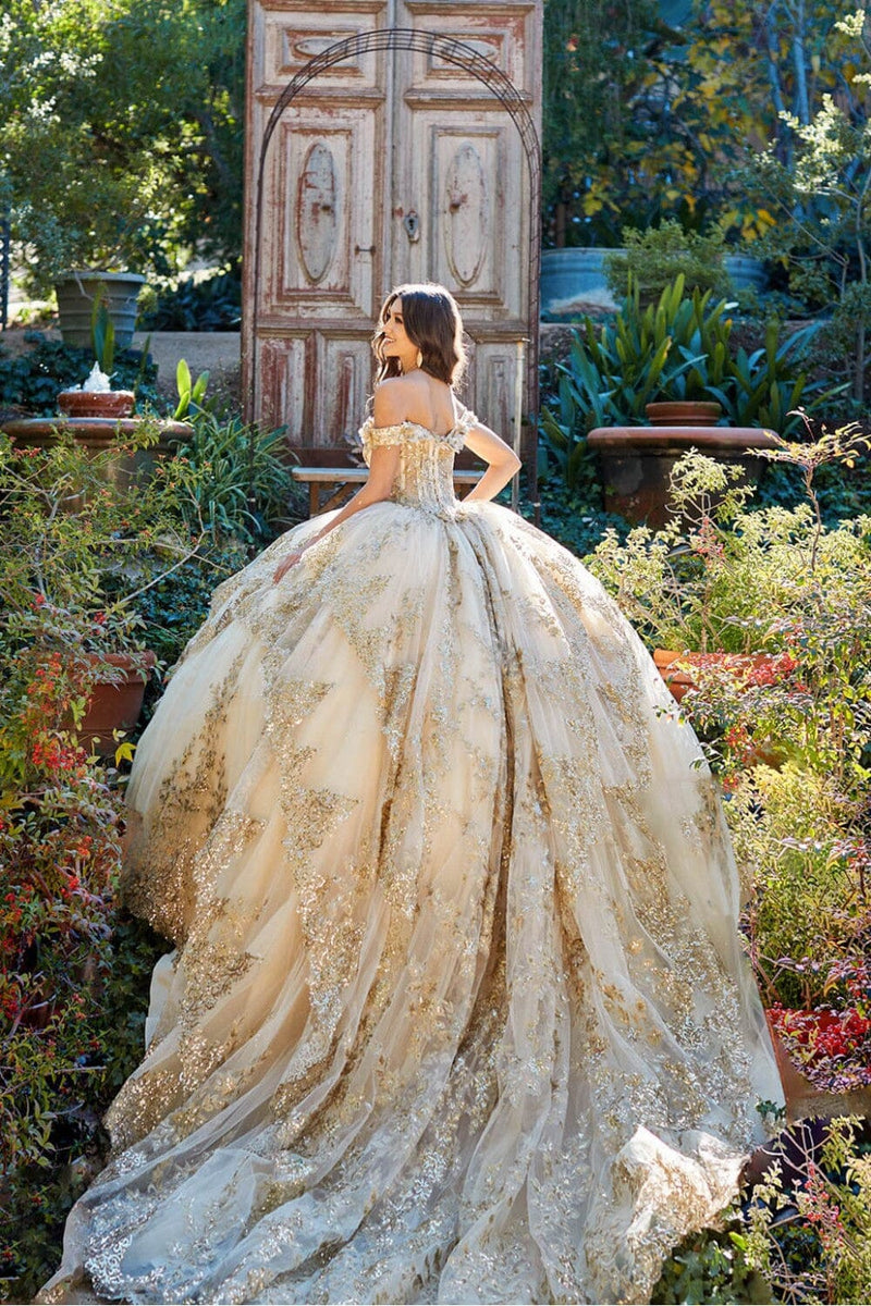 Applique Off Shoulder Quinceanera Dress Corset Ball Gown with Train by Bella Princess PQ1055