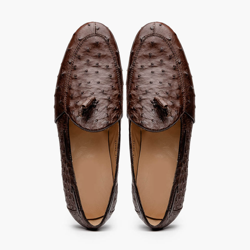 Aubiere Brown Ostrich Loafer 