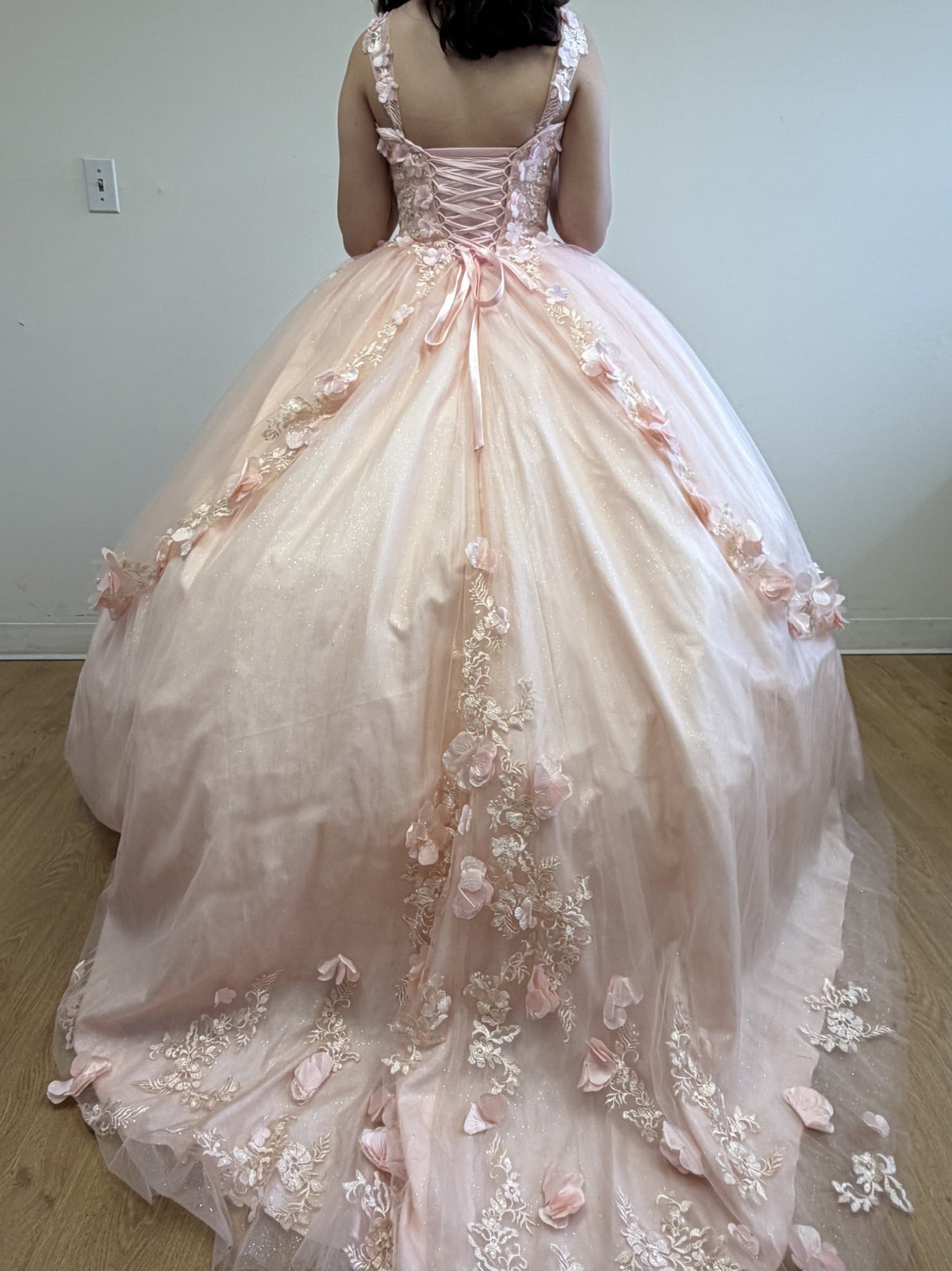 Strapless Sweetheart Floral Applique Ball Gown
