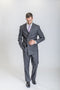Grey Caravelli Suit - Designer Caravelli Jacket and Pants