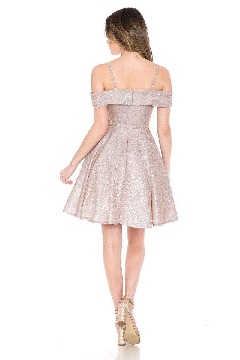 Dama Dresses for Quinceanera in Blush Style 5228 Quince Outfit