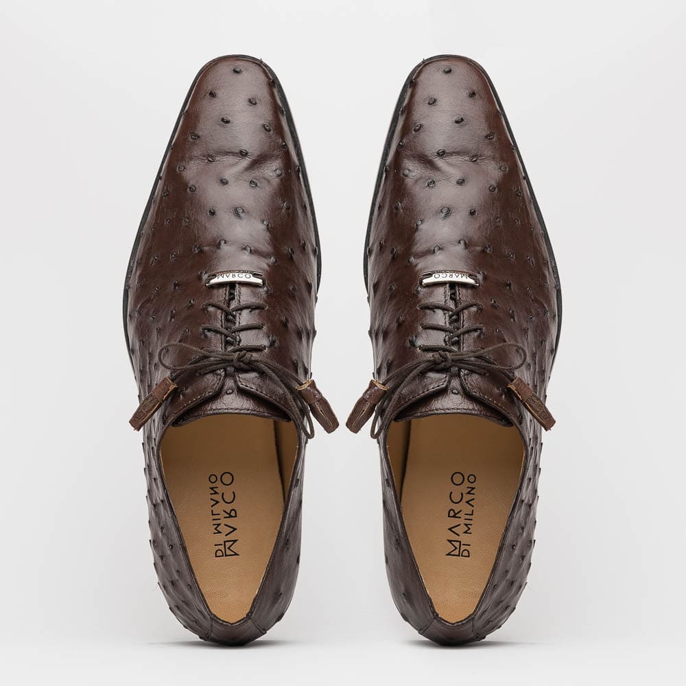 Marco Di Milano Criss Ostrich Quill Dress Oxfords Brown
