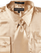 "Satin Dress Shirt Set for Men - Regular Fit, Taupe, Includes Tie & Pocket Square"
