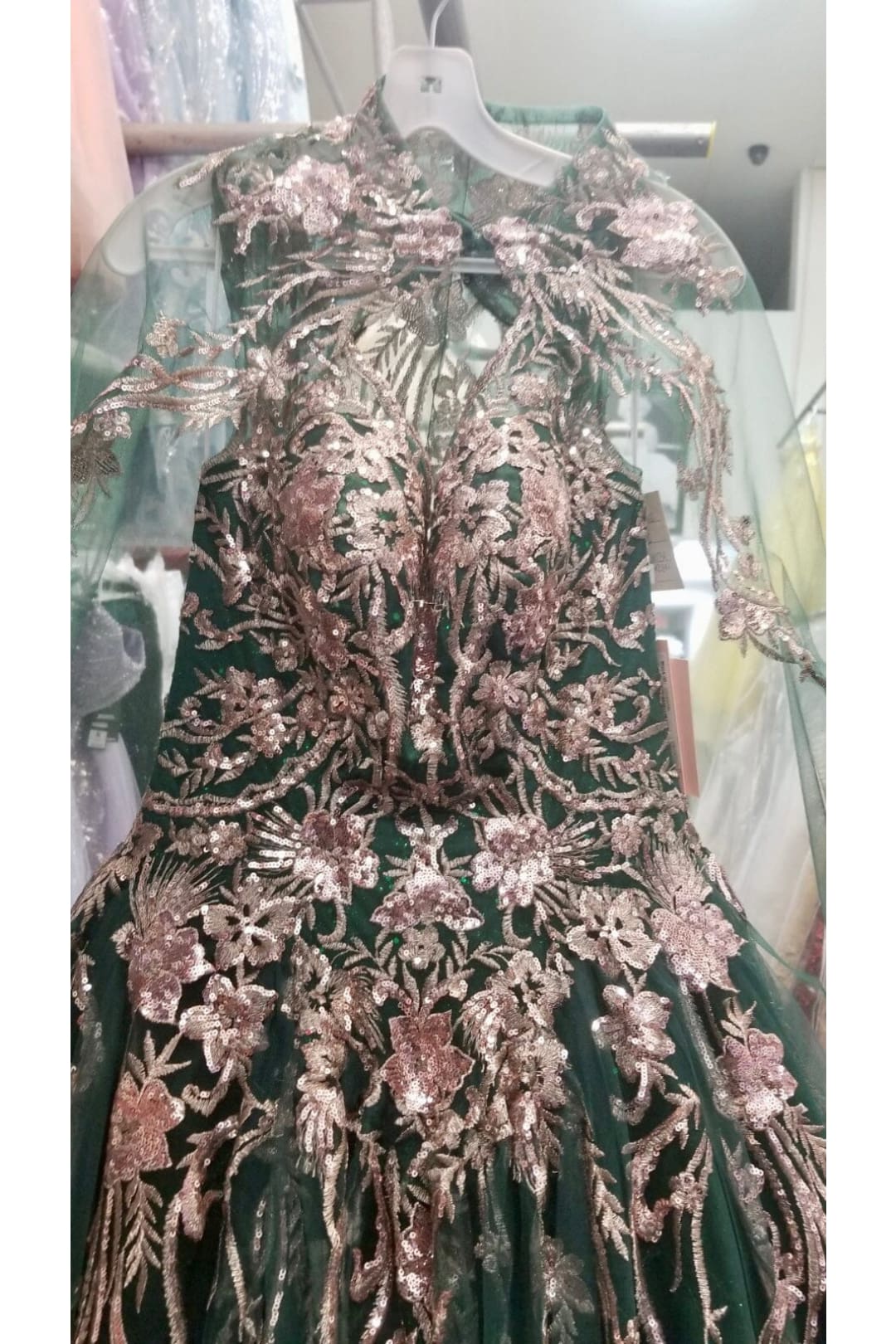 Embroidered Cape Ball Gown by Elizabeth K GL3076