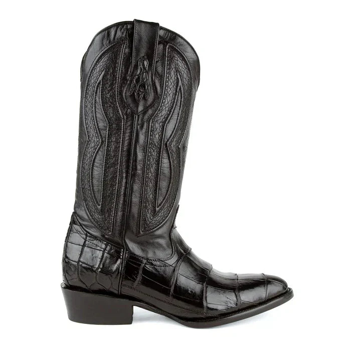 Ferrini Stallion - American Alligator