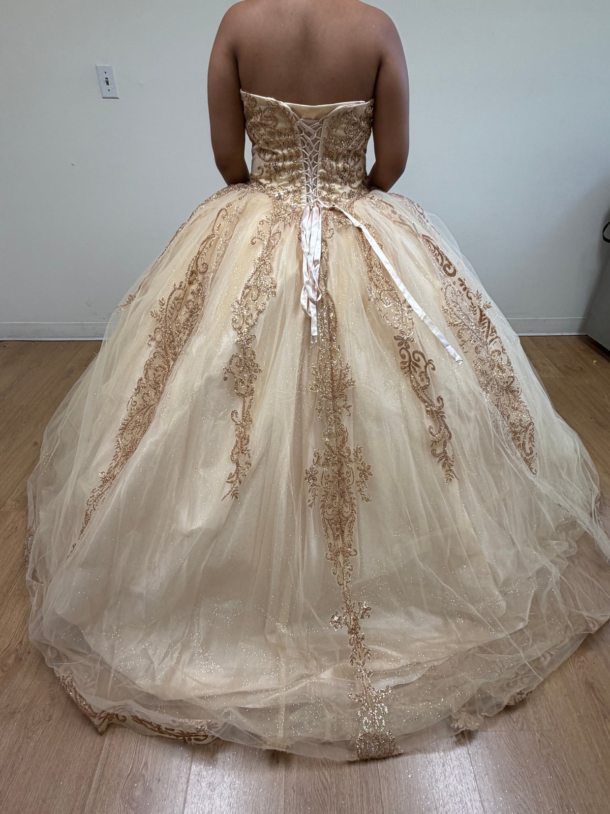 Layla K LK230 Sweetheart Glitter Tulle Quinceanera Long Gown