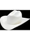 White cowboy hat. High, rounded crown with creases, wide, upturned brim. Thin decorative band around the crown's base. Classic Western style.
