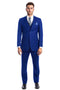 "Royal Blue Men's Slim Fit Wedding Suit - Two Button Basic Vested"
