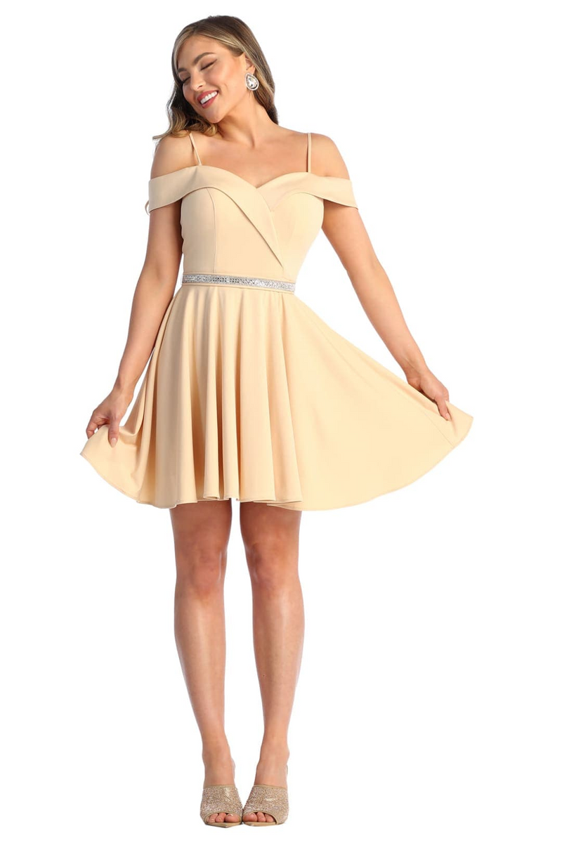 Dama Dresses for Quinceanera in Champagne Style MQ1916 Quince Outfit