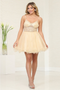 Dama Dresses for Quinceanera in Champagne Style MQ2067 Quince Outfit