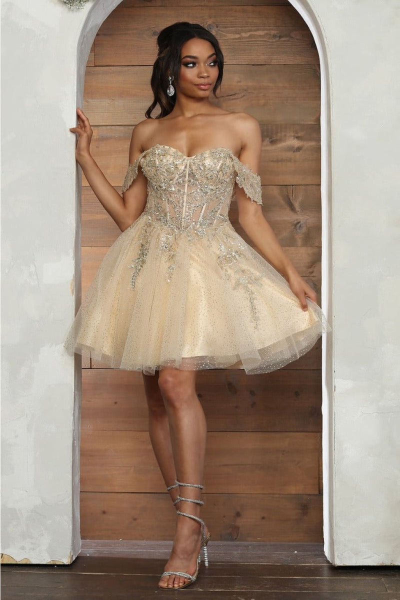 Dama Dresses for Quinceanera in Baby Blue Off the Shoulder Quince Outfit