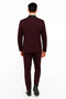 Men's Purple - Plum - Eggplant Jacket and Pants Two Button Shawl Lapel Tuxedo