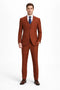 Mens Stacy Adams Suit - Stacy Adams Suit Men's Designer Suit - Two Button Vested in Brown