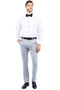 Mens Zegarie Brand Men's Modern Fit Flat Front Tuxedo Separates Pants in Light Grey