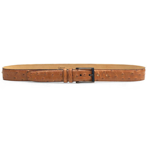 Mezlan AO8146 brandy ostrich quill belt: elongated shape, tapered end. Unique quill texture, rich brandy color. Matte black metal buckle. Contrasting interior lining. Secure fastening, warm earthy tone.