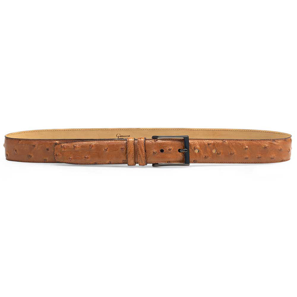 Mezlan AO8146 brandy ostrich quill belt: elongated shape, tapered end. Unique quill texture, rich brandy color. Matte black metal buckle. Contrasting interior lining. Secure fastening, warm earthy tone.
