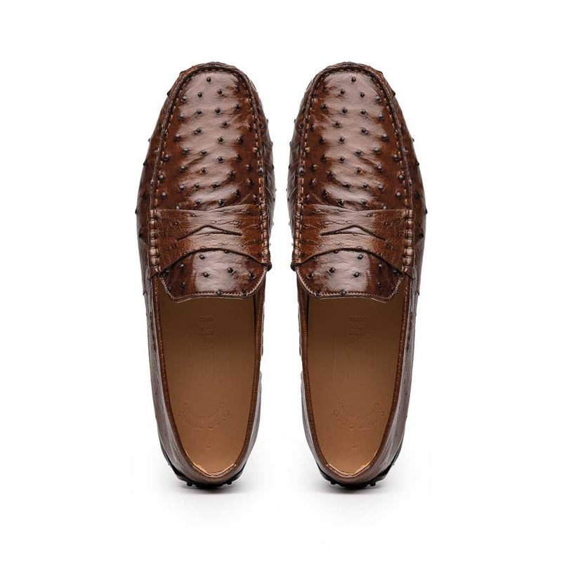 Zelli Monza Genuine Ostrich Quill Driving Loafers in Brown