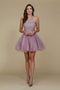 Nox Anabel B652 Light-Mauve Dama Dresses for Quinceanera Outfit
